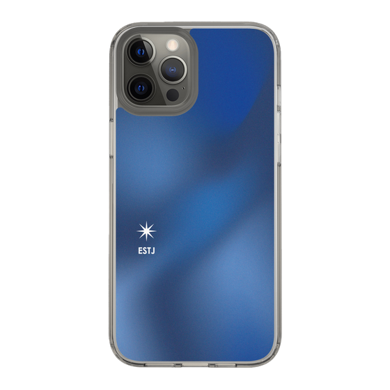 Slim Protection Case［ Original - ESTJ Executive - Gradient ］