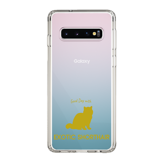 Slim Protection Case［ &UCHINOCO - Exotic Shorthair ］