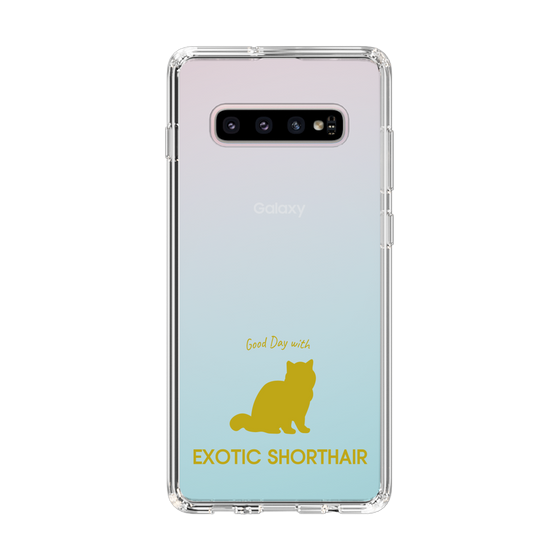 Slim Protection Case［ &UCHINOCO - Exotic Shorthair ］