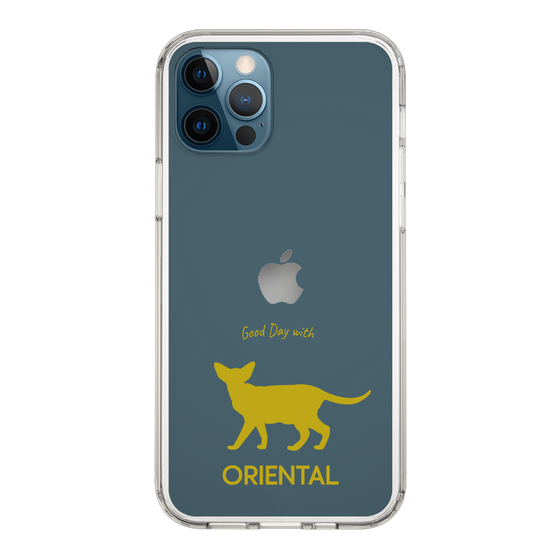 Slim Protection Case［ &UCHINOCO - Oriental ］