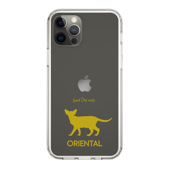 Slim Protection Case［ &UCHINOCO - Oriental ］