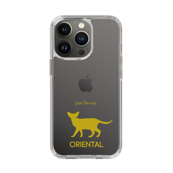 Slim Protection Case［ &UCHINOCO - Oriental ］
