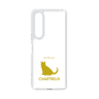 Slim Protection Case［ &UCHINOCO - Chartreux ］