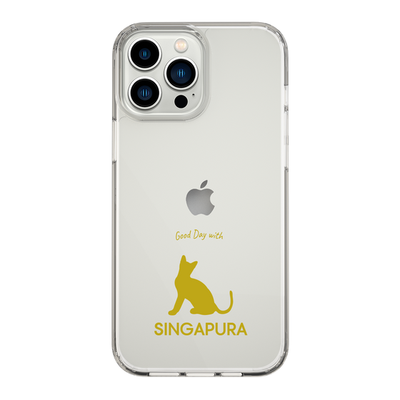 Slim Protection Case［ &UCHINOCO - Singapura ］