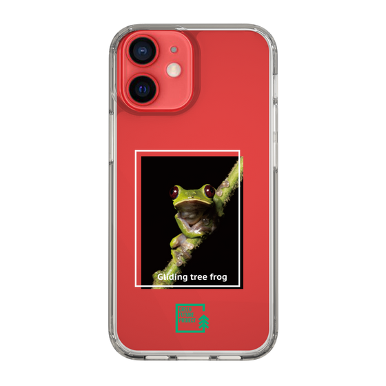 Slim Protection Case［ Green Future Project - Gliding tree frog ］
