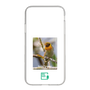 Slim Protection Case［ Green Future Project - Guira Tanager ］