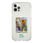 Slim Protection Case［ Green Future Project - Guira Tanager ］