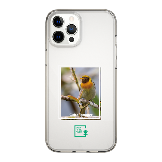Slim Protection Case［ Green Future Project - Guira Tanager ］
