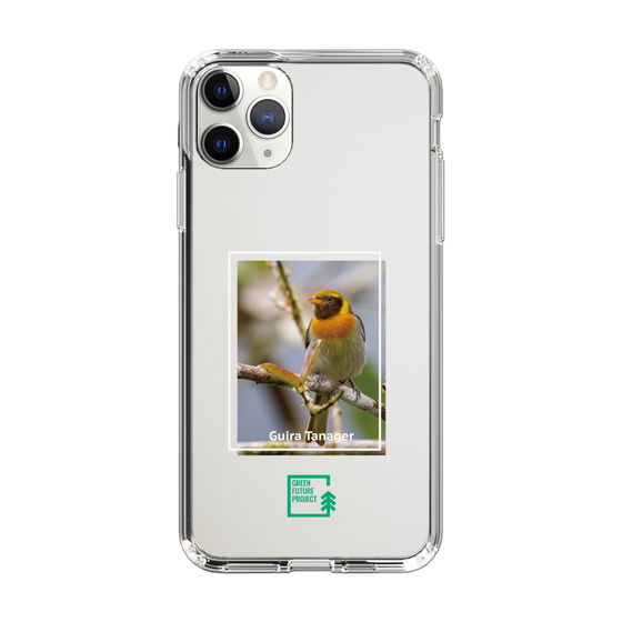 Slim Protection Case［ Green Future Project - Guira Tanager ］