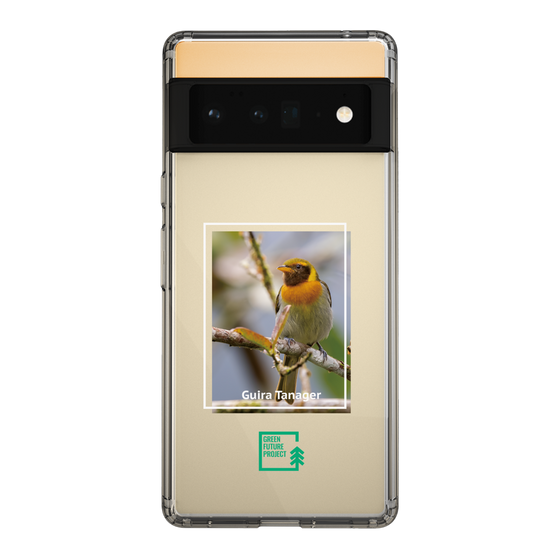 Slim Protection Case［ Green Future Project - Guira Tanager ］