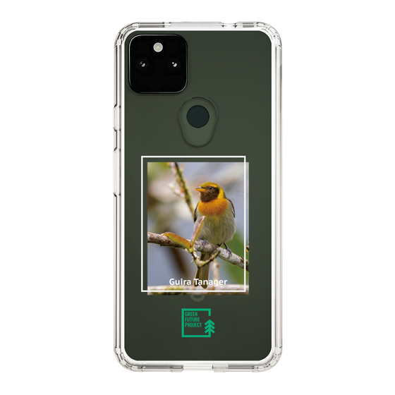 Slim Protection Case［ Green Future Project - Guira Tanager ］