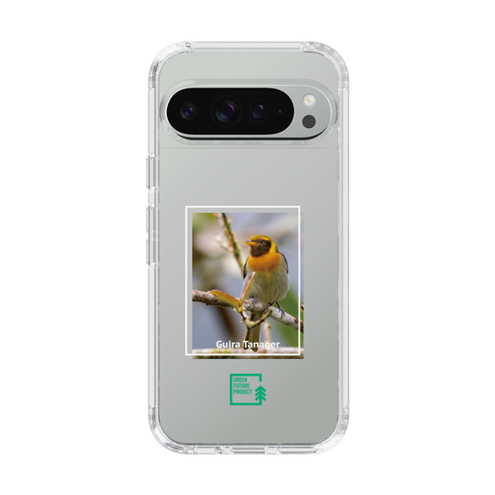 Slim Protection Case［ Green Future Project - Guira Tanager ］