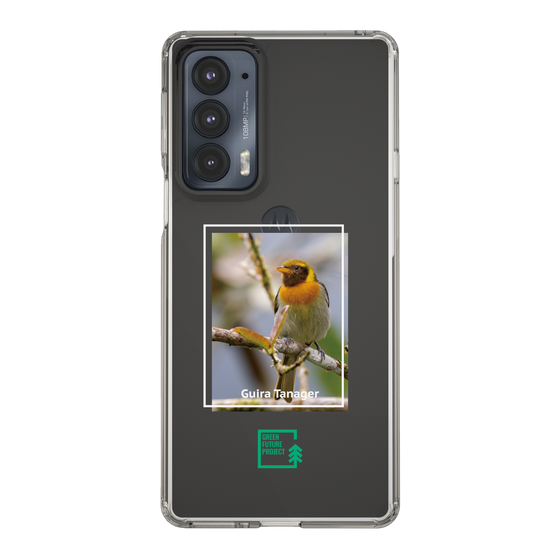 Slim Protection Case［ Green Future Project - Guira Tanager ］