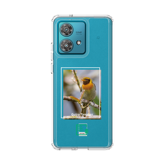 Slim Protection Case［ Green Future Project - Guira Tanager ］