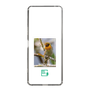 Slim Protection Case［ Green Future Project - Guira Tanager ］
