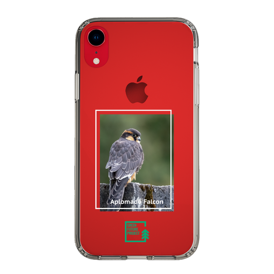 Slim Protection Case［ Green Future Project - Aplomado Falcon ］