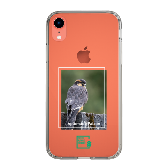 Slim Protection Case［ Green Future Project - Aplomado Falcon ］