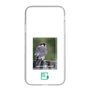 Slim Protection Case［ Green Future Project - Aplomado Falcon ］