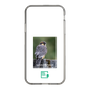 Slim Protection Case［ Green Future Project - Aplomado Falcon ］