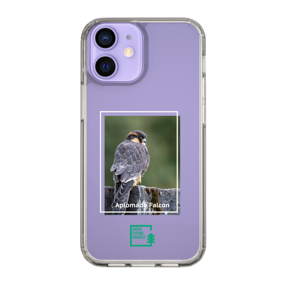 Slim Protection Case［ Green Future Project - Aplomado Falcon ］