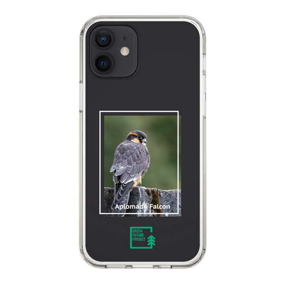 Slim Protection Case［ Green Future Project - Aplomado Falcon ］
