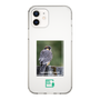 Slim Protection Case［ Green Future Project - Aplomado Falcon ］