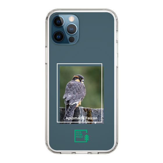 Slim Protection Case［ Green Future Project - Aplomado Falcon ］