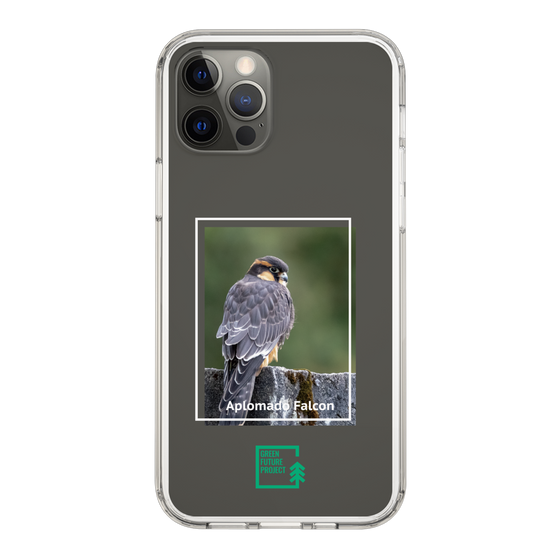 Slim Protection Case［ Green Future Project - Aplomado Falcon ］