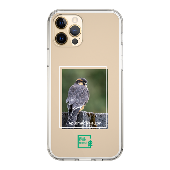 Slim Protection Case［ Green Future Project - Aplomado Falcon ］