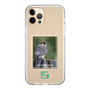 Slim Protection Case［ Green Future Project - Aplomado Falcon ］
