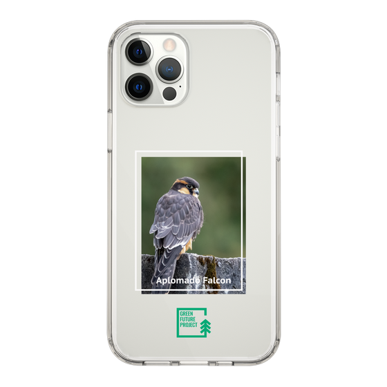 Slim Protection Case［ Green Future Project - Aplomado Falcon ］