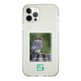 Slim Protection Case［ Green Future Project - Aplomado Falcon ］