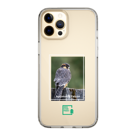 Slim Protection Case［ Green Future Project - Aplomado Falcon ］