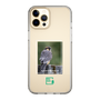 Slim Protection Case［ Green Future Project - Aplomado Falcon ］