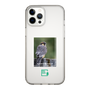 Slim Protection Case［ Green Future Project - Aplomado Falcon ］