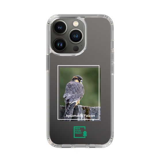 Slim Protection Case［ Green Future Project - Aplomado Falcon ］