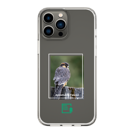 Slim Protection Case［ Green Future Project - Aplomado Falcon ］
