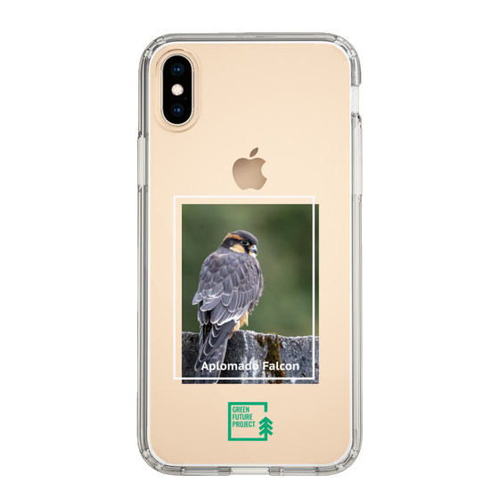 Slim Protection Case［ Green Future Project - Aplomado Falcon ］