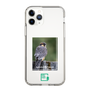 Slim Protection Case［ Green Future Project - Aplomado Falcon ］