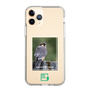 Slim Protection Case［ Green Future Project - Aplomado Falcon ］