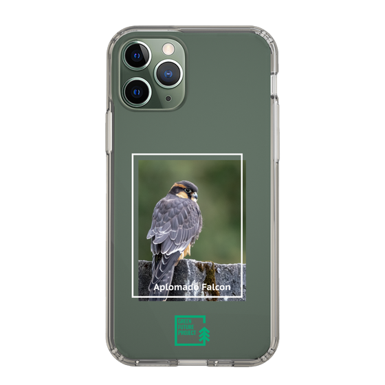 Slim Protection Case［ Green Future Project - Aplomado Falcon ］