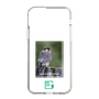 Slim Protection Case［ Green Future Project - Aplomado Falcon ］