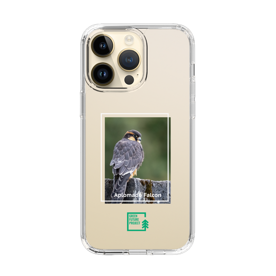 Slim Protection Case［ Green Future Project - Aplomado Falcon ］