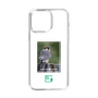 Slim Protection Case［ Green Future Project - Aplomado Falcon ］