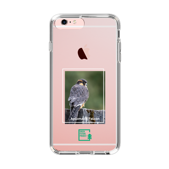 Slim Protection Case［ Green Future Project - Aplomado Falcon ］