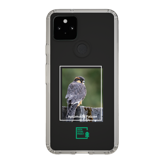 Slim Protection Case［ Green Future Project - Aplomado Falcon ］