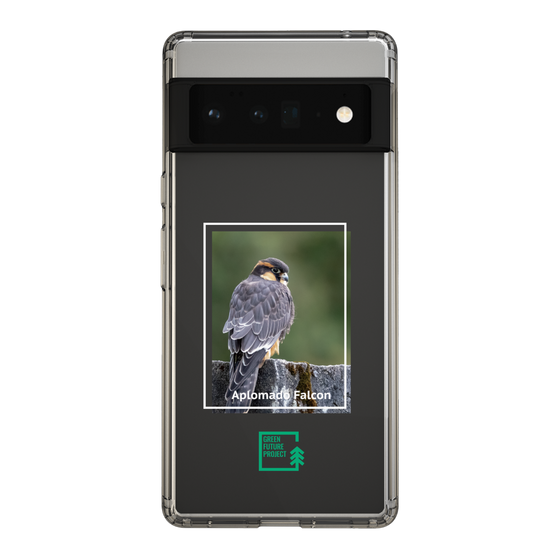 Slim Protection Case［ Green Future Project - Aplomado Falcon ］