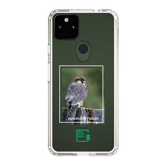 Slim Protection Case［ Green Future Project - Aplomado Falcon ］