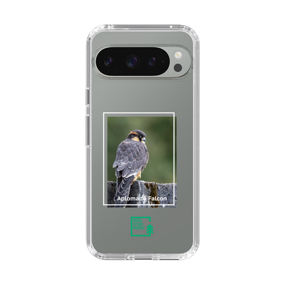 Slim Protection Case［ Green Future Project - Aplomado Falcon ］