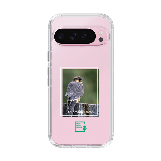 Slim Protection Case［ Green Future Project - Aplomado Falcon ］